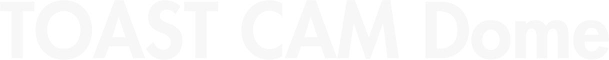 TOAST CAM Dome